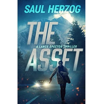 The Asset by Saul Herzog