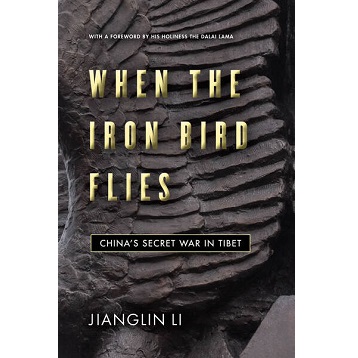 When the Iron Bird Flies by Jianglin Li