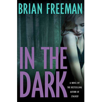 In the Dark by Brian Freeman