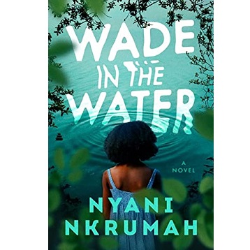Wade in the Water by Nyani Nkrumah