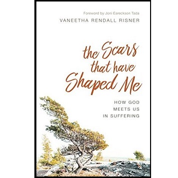 The Scars That Have Shaped Me by Vaneetha Rendall Risner