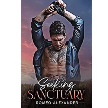 Seeking Sanctuary by Romeo Alexander