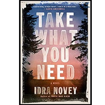Take What You Need by Idra Novey