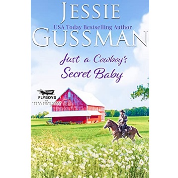 Just a Cowboy's Secret Baby by Jessie Gussman